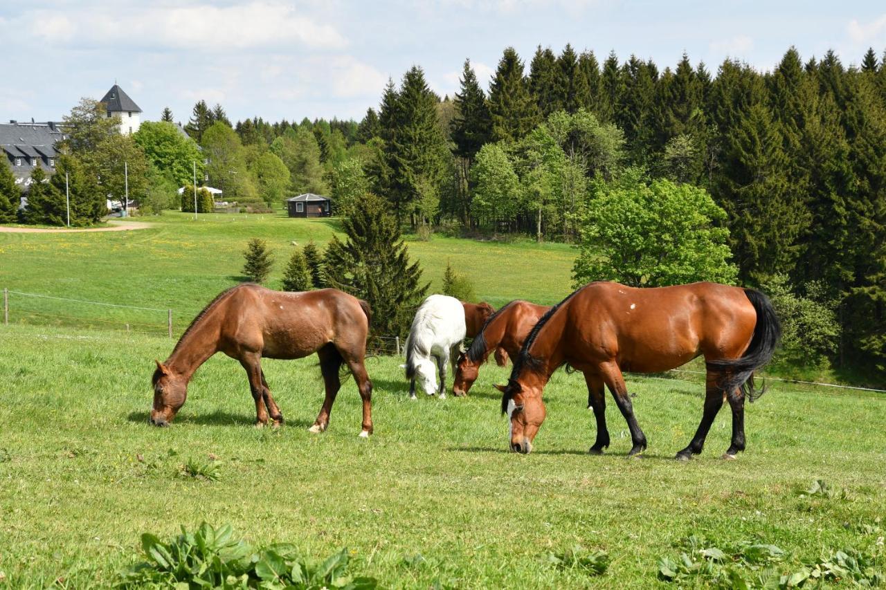 Landhotel Altes Zollhaus Hermsdorf  Exteriör bild